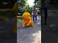 Download Lagu Diwali Special Teddy Bear Video 🤣🤣| Teddy Bear Funny video|Teddy Bear #teddy #crazy_teddy #funny