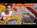Download Lagu Anh Ngư Phủ Trúng Đậm Mẻ Mực Siêu Ngon Sau Nhiều Ngày Giông Bão | Anh Ngư Phủ