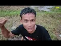 Download Lagu Semangat Pramuka Indonesia Cover Video LP3S³ 2022