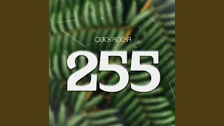 255 feat belle 9 