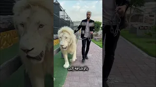 روتين أغنى رجل في العالم 