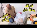 Lagu مش هقول غير حسبي الله ونعم الوكيل اليوم كان ماشي زي الفل الجهاز الجديد السبب😂😂