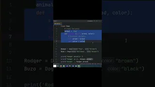 Class Variable Instance variable in Python