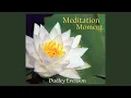 Guided Meditation - Dudley Evenson - Perfection