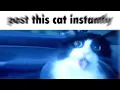 Discord Gifs In A Nutshell