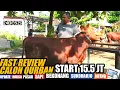 Download Lagu Calon Qurban, Start 15,5 JT. Update Harga Sapi Terbaru Pasar Bekonang MP3