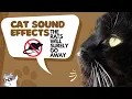 Lagu Cat Sound Effects Cat Sounds to Scare Mice, Mice will go away from your house