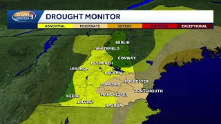 Humid with isolated storm chance