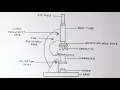 How to draw Compound of Microscope easily - step by step How to draw Microscope diagram