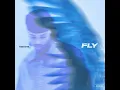 Fly