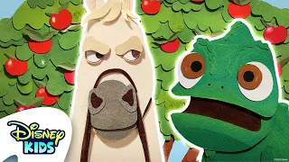 Rapunzel | Maximus e Pascal Inseguono il Ladro di Mele! 🐴🦎🍎 | Avventure dei Compagni Disney