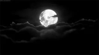 Lana Del Rey Summertime Sadness 𝘴𝘭𝘰𝘸𝘦𝘥 𝘳𝘦𝘷𝘦𝘳𝘣 