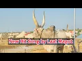 Download Lagu Rem E Ngeny by Laat Magot