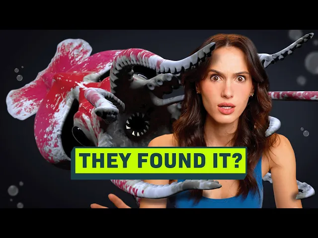 Video: The New Hunt for the Colossal Squid