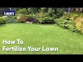 How to Fertilize Your Lawn Guide