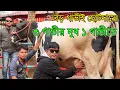 Lagu কাউন্সিলর সুলতান ভাইয়ের জীবনের সেরা সেরা গাভীর প্রতিবেদন দেখুন আজকে। ১ গাভীতে ৪০ লিটার দুধ।Krishi TV