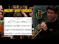 Download Lagu Cadenza Mozart k447 / concerto n.3 Mozart - Sebastian Weigle