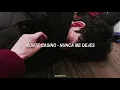 monte casino; nunca me dejes (letra).