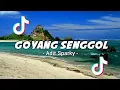 DJ VIRAL TIKTOK - Goyang Senggol_Adit Sparky 2022 NewRmx!!!