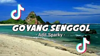 Download DJ VIRAL TIKTOK - Goyang Senggol_Adit Sparky 2022 NewRmx!!! MP3
