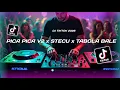 Lagu PICA PICA V2 x STECU STECU x TABOLA BALE (MIX)