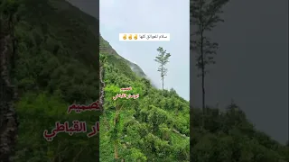 سلام مني للعوالق كلها سليمان العمري 