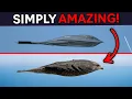 Download Lagu The B-2 Bomber Was Copied from God’s Design