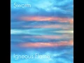 Swarm
