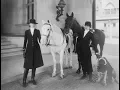 Biltmore Estate stories about life at America s largest home