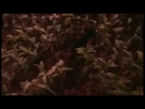 Trailer for Stephen King's The Stand