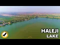 Download Lagu Haleji Lake - Thatta District - Sindh - Pakistan