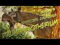 The Rage filled Paracer T A C DETV Dzungariotherium ASA Mod Trailer