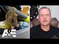 Hoarders Cory Shares Behind-the-Scenes Photos of Rodent Damage S11 A E