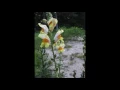 Wonerful Tonight DEMO   Shawn Stockman