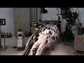 Wiki Aliens La mysterieuse scene coupee de The Predator