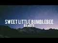 Sweet Little Bumblebee | Bambee (Lyrics)