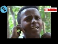 Download Lagu Hayelom debash---Gumaye/Raya Music