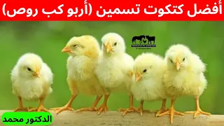 هل أشتري كتكوت   كب   أربو   روص   هبر   اي ار   أفضل نوع كتاكيت   يديك وزن ومناعه مع دكتور دندنها