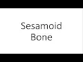 Sesamoid Bone - General Anatomy
