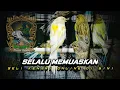 Download Lagu 6 September 2025 MATERI TERBARU PILIH SESUAI SELERAMU.