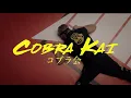 Cobra Kai - Anime OP | "Fighter" - KANA-BOON (Gundam IBO)