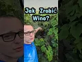Download Lagu Jak zrobić wino? #naswoim #wino #winogrona #winorośl