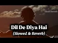 Dil De Diya Hai (Slowed & Reverb) | Masti | Anand Raj Anand
