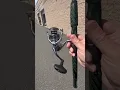 Download Lagu Shimano NASCI 3000 Spinning Reel delivers Shimano quality at $100. Smooth and nice.