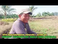 Download Lagu Petani transmigrasi asal boyolali kota susu 9 tahun bermukim disepunggur lahan baru bisa terkelola