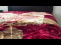 Heavy Thick Plush Velvet Korean Style Mink Blanket by JML