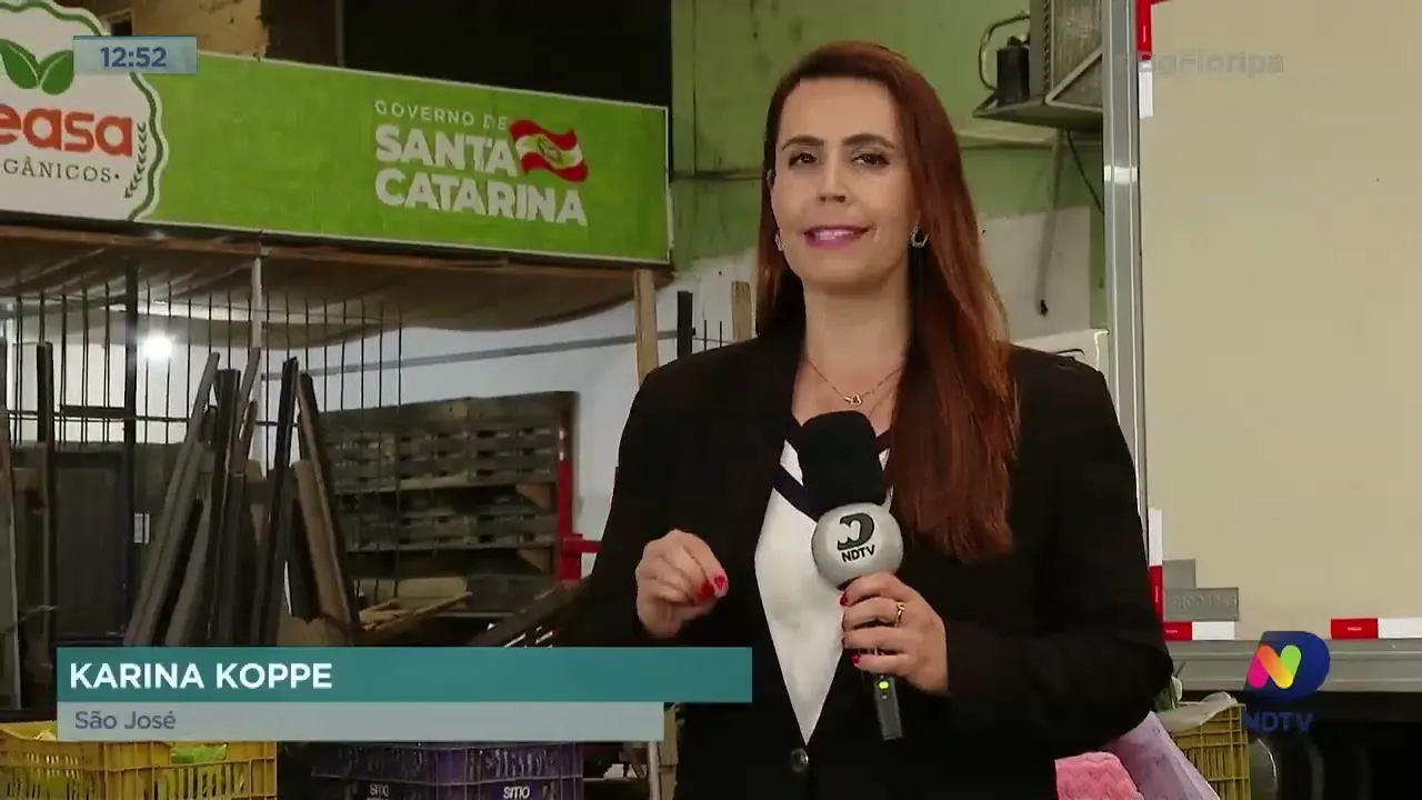 Bloqueios nas rodovias ainda não trouxeram reflexos no abastecimento de comida Grande Florianópolis