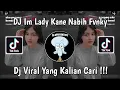 Download Lagu DJ IM LADY KANE NABIH FVNKY | DJ AKU PEGANG KENDALI SUARAKAN KATA HATI VIRAL TIK TOK TERBARU 2024