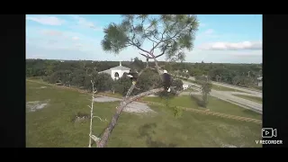 SWFL Bald Eagles 10 26 2025 