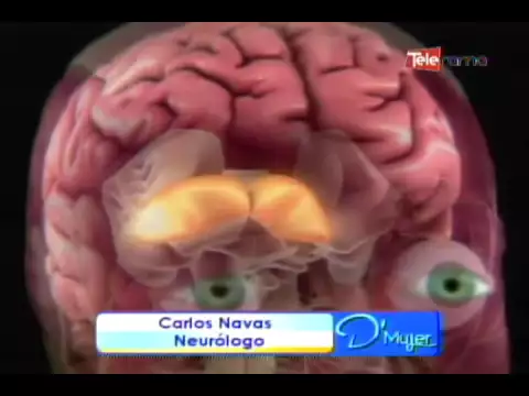 Desconcentración y pérdida de memoria